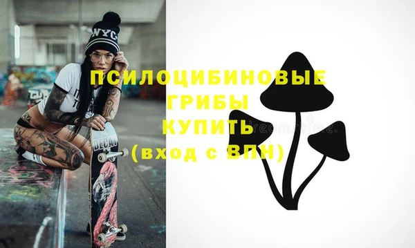 тгк Белокуриха