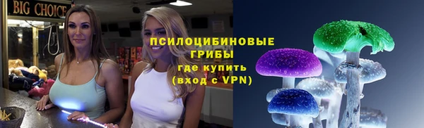тгк Белокуриха