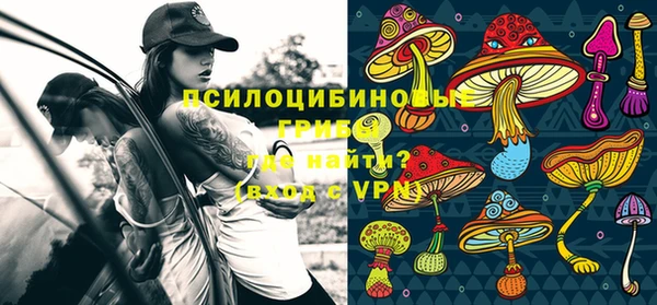спиды Беломорск