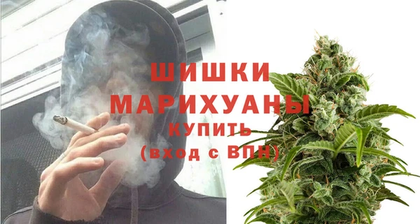 тгк Белокуриха