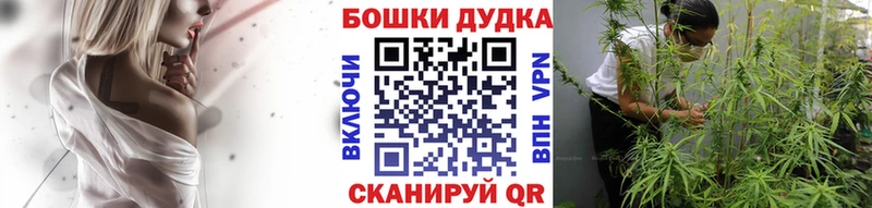 Канабис планчик магазин Торопец